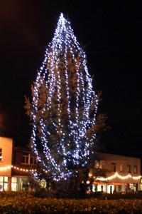 Christmas Tree on the Green